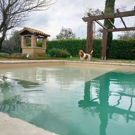 Ca' Le Cerque, Villa Surrounded By The Marche Nature Фоссомброне Екстер'єр фото