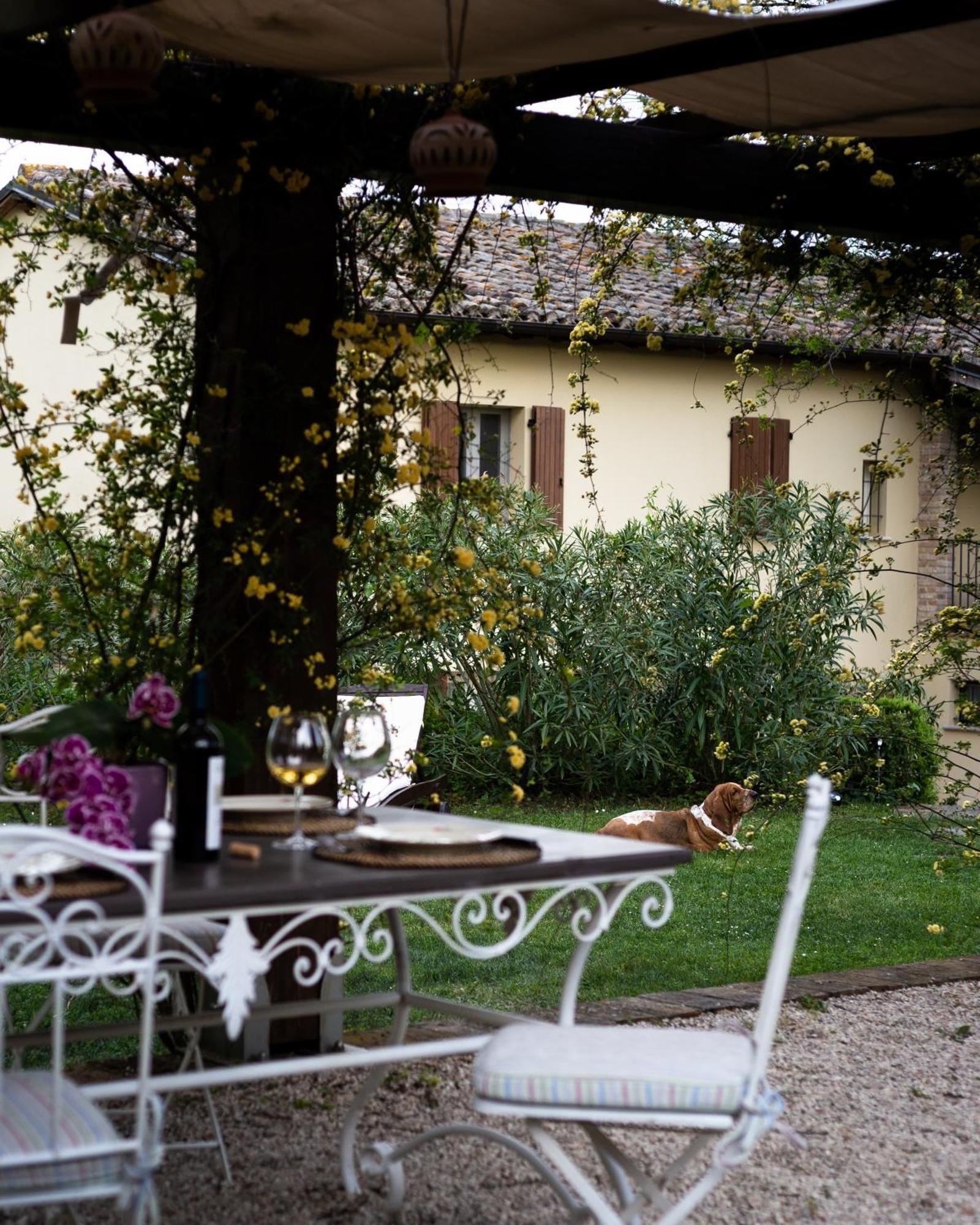 Ca' Le Cerque, Villa Surrounded By The Marche Nature Фоссомброне Екстер'єр фото