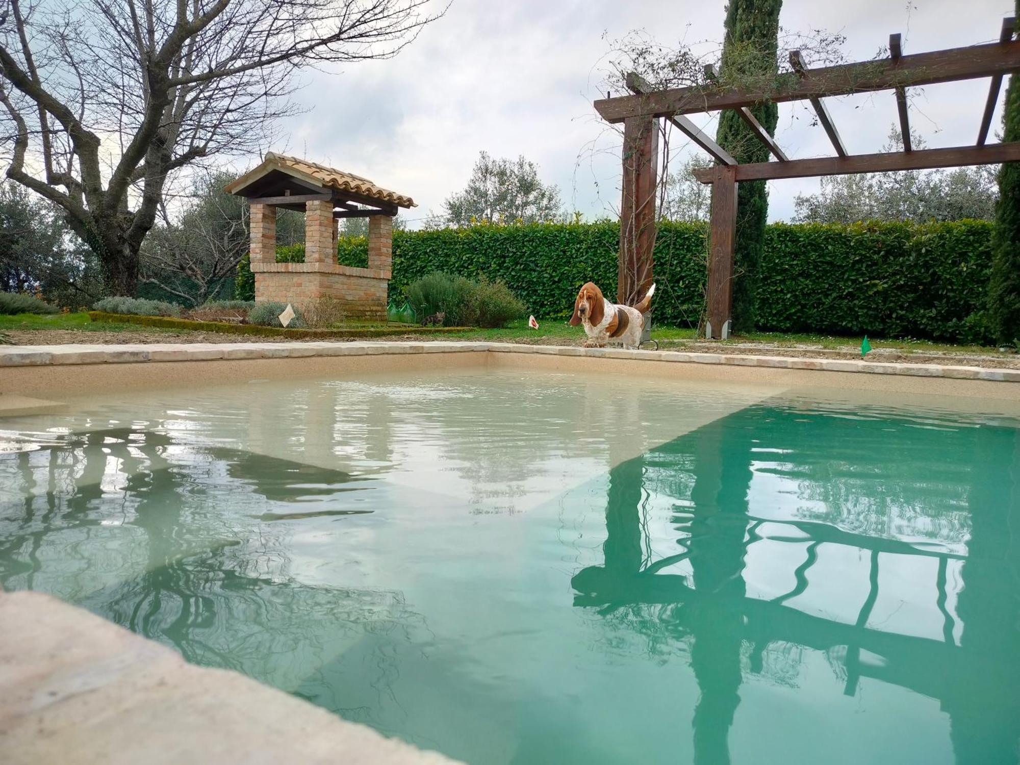 Ca' Le Cerque, Villa Surrounded By The Marche Nature Фоссомброне Екстер'єр фото